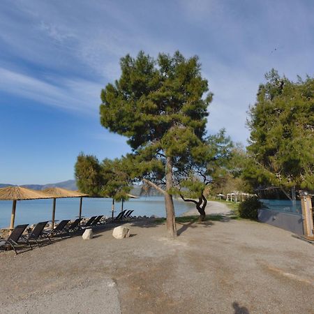 Kalafatis Beach Home Itea Zewnętrze zdjęcie