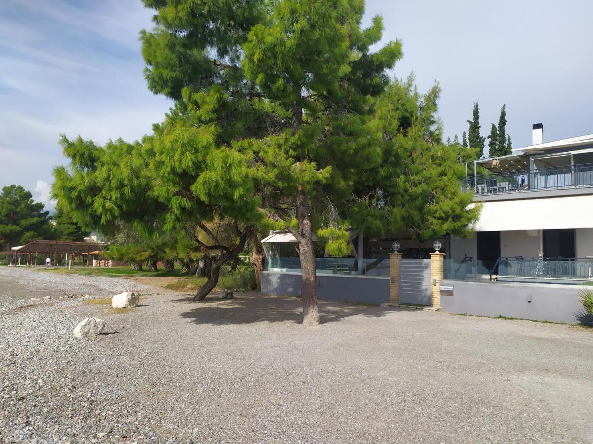 Kalafatis Beach Home Itea Zewnętrze zdjęcie